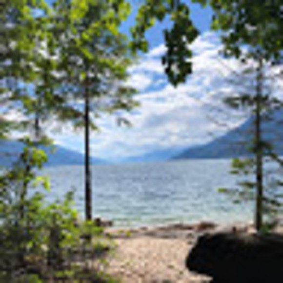 Meet your Posher, Sophia - Picture 1 of 1